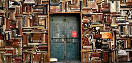 Door surrounded by books