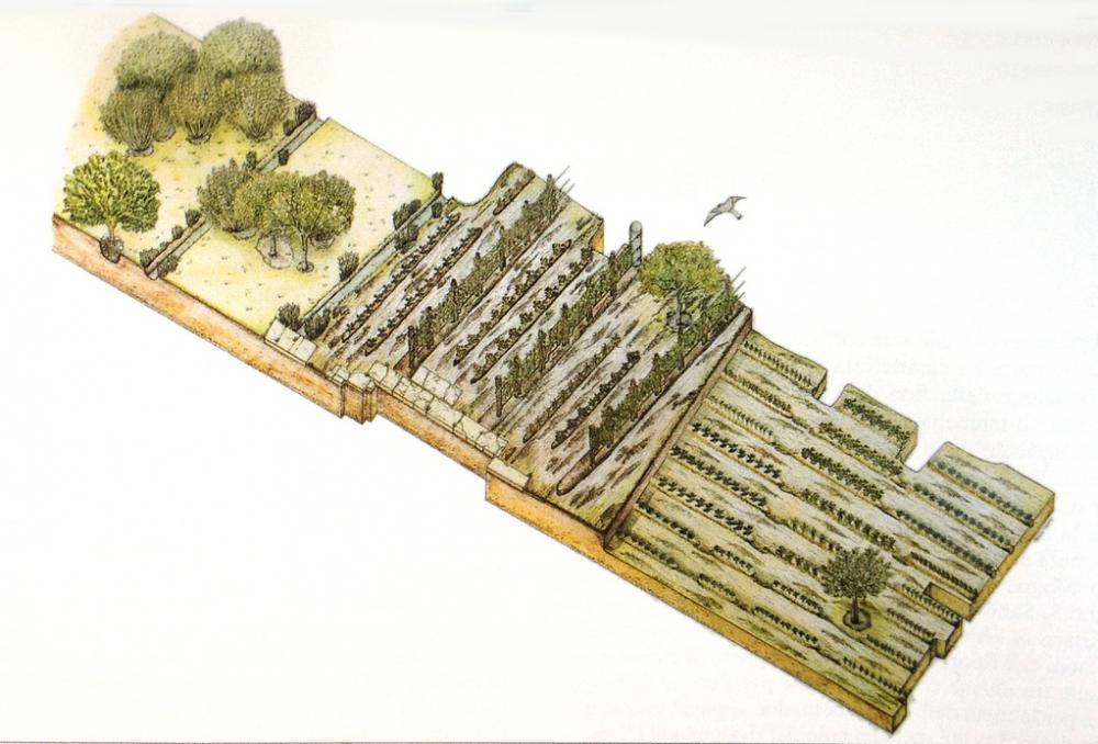Reconstruction of two phases of the Forum of Nerva
